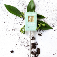 Load image into Gallery viewer, Amborella Organics Lollipops